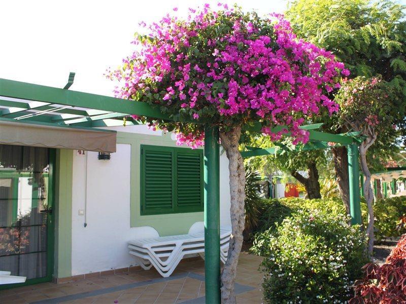 Bungalows Cordial Sandy Golf Maspalomas  Exterior photo
